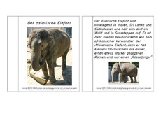 Mini-Buch-für-Lapbook-Asiatischer-Elefant-Lesetext.pdf